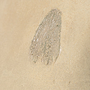 Moderne lærredstryk med organiske linjer i "Sandweg"-rammen