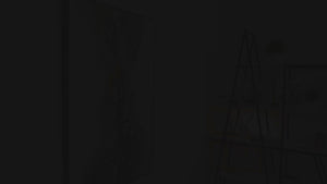 Håndmalede billeder på lærred til stuen "Ynde"